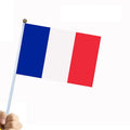 Wholesale France Flags Hand Held Stick Small French Flag with Plastic Pole