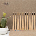 MR.E Eco-Friendly Biodegradable Soft Bristles Toothbrush Charcoal Nylon for Handle for Hotel Home Travel Use-Wholesale