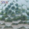 Long Time UV Proof Durability Self Adhesive Vinyl Water Cube 3D Cat Eyes Textured Pattern Protection Images Cold Lamination Film