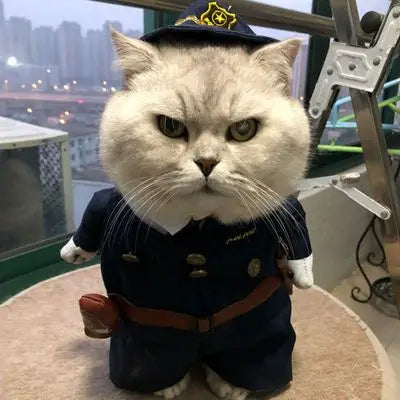 2022 Hot Sale Pet Funny Dog Cat Cosplay Costume Clothes Pirate Corsair Dressing up Party Pet Winter Hoodie  Apparel Clothing
