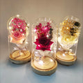 Home Decoration LED Light Artificial Rose Flower Glass Dome Elegant Gift for Graduation & Wedding OEM Wholesale Factory Direct