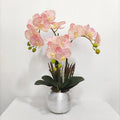 Latest Customized Butterfly Orchid Artificial Flowers Bonsai Plants Set Potted Phalaenopsis Orchid Real Touch