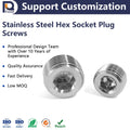 Factory Stainless Steel Hex Head Screw Plug Round Socket Pipe Plug with Hex Thread Fasteners Category