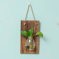 Solid Wood Creative Home Wall Hanging Wall Background Decoration Hydroponic Plants Glass Small Vase Table Vase