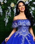 Princess Appliqued Ball Gown Plus Size Sweet 16 Party Birthday Vestidos De 15 Anos Royal Blue Quinceanera Dresses MQQ721