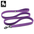 Truelove Hands Free Wholesale Dog Collar and Leash Climbing Reflective Durable Soft Leash for Dogs Retractable 200cm Pet Leashes
