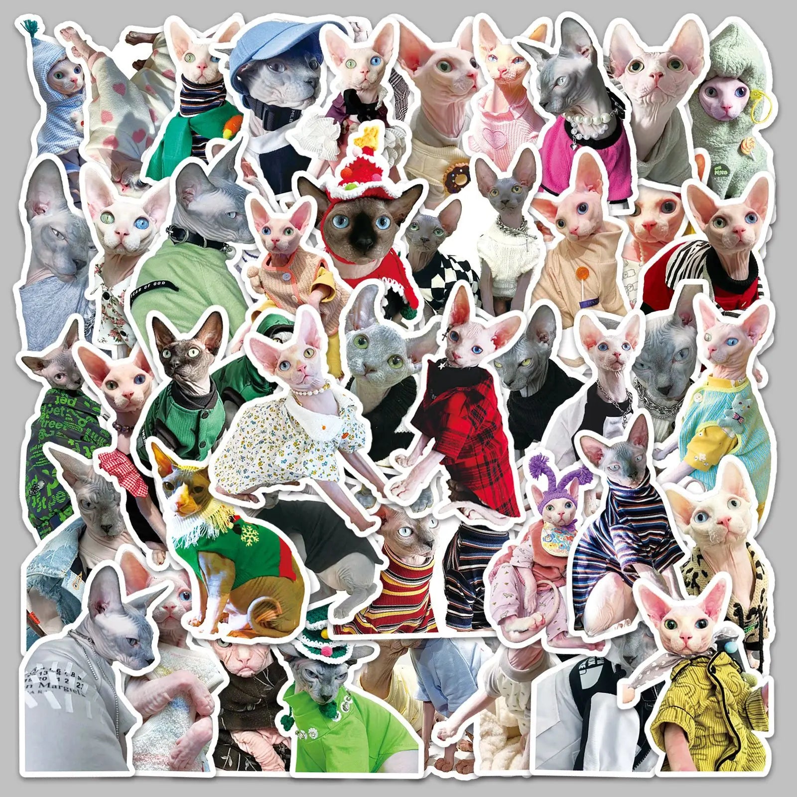 50PCS Funny hairless kitten decals for cat lover cute cartoon Sphynx decals