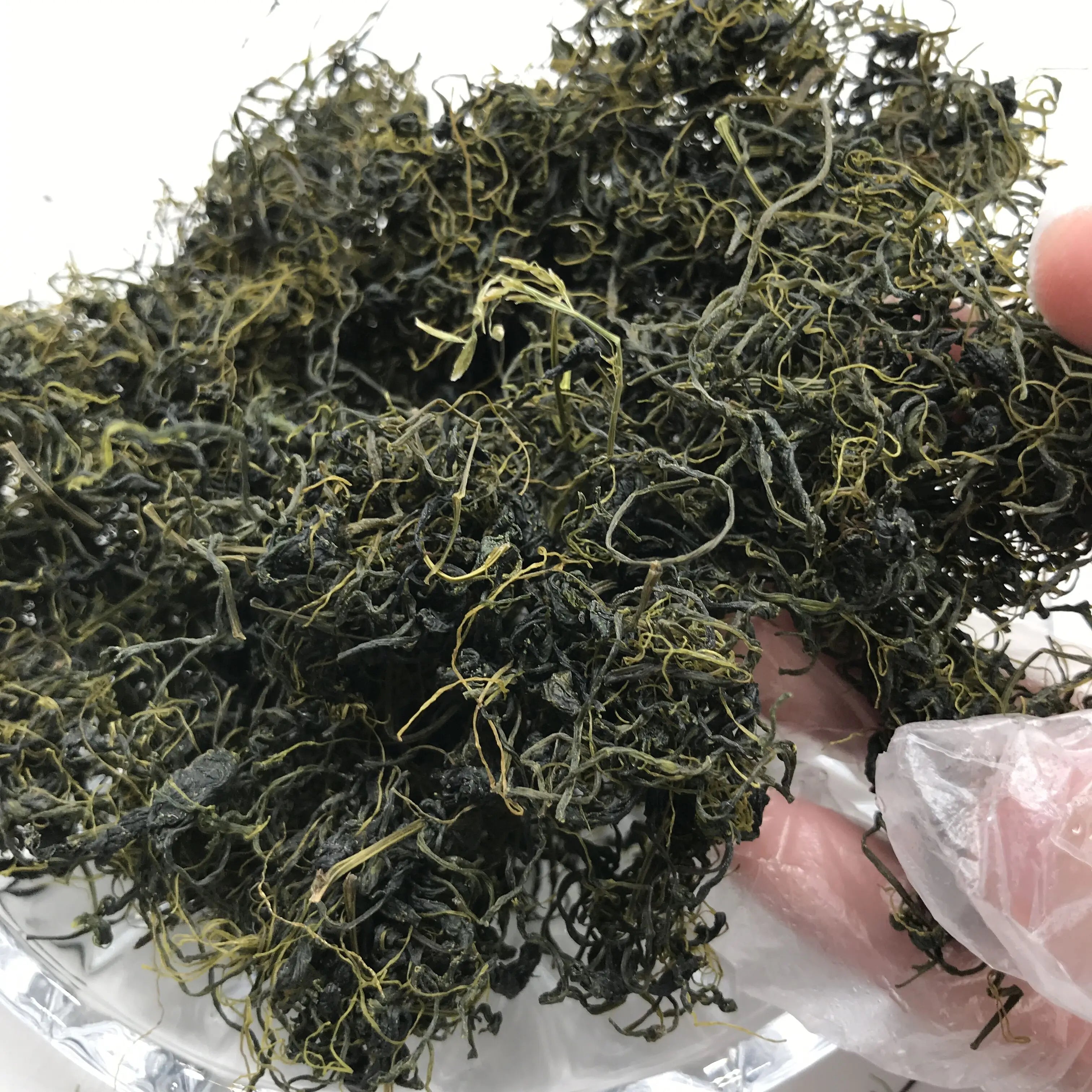 5008 Jiao Gu Lan B Grade Chinese Herb Dried Sevenleaf Gynostemma Herb Tea