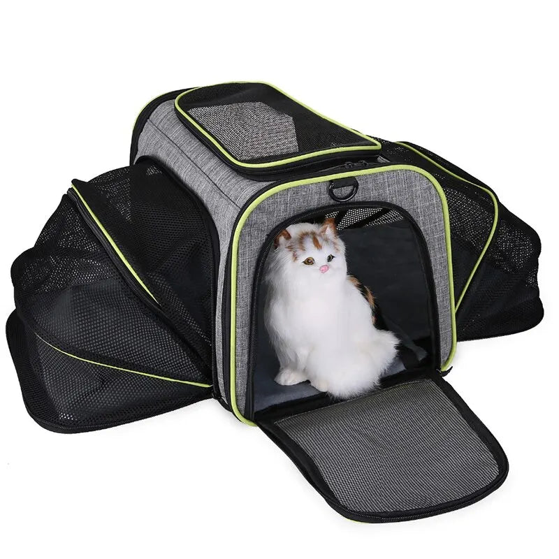 Travel Bag for Pets Airline Approved Expandable Reflective Foldable Soft Carriers Made Mesh Zipper Closure Blue/Green 29*43*73cm
