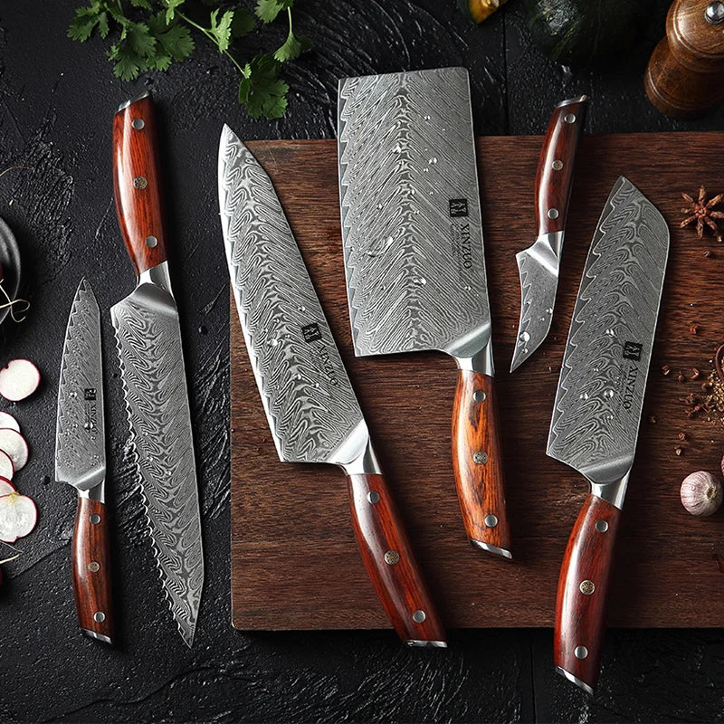 6 PCS Super Sharp 67 Layers Damascus Steel Kitchen Chef Knife Set With Rosewood Handle