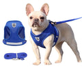 Custom Logo Breathable Lightweight Reflective Dog Harness Leash Set Polyester Padded Feature Printed Pet Accessories Scarf