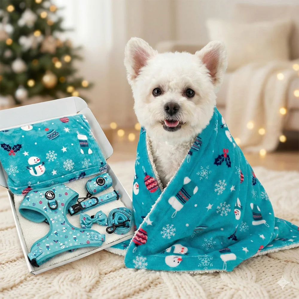 Custom Print Pet Blanket Sherpa Flannel Fleece Match Dog Harness Bundle Pet Collars Leashes Harnesses Outdoor Travel Pet Mat