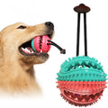 Wholesale Pet Teeth Cleaning Ball Molar Stick Cleansing Teeth Toy