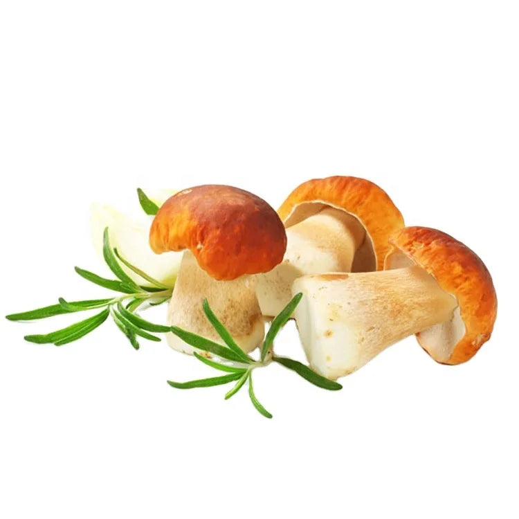 Cultivated Growing Frozen Boletus Edulis Mushroom