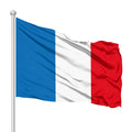 High Quality 3*5FT Polyester Custom French Election Flag for Show Your Support