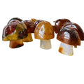 Natural Red Agate Mushroom Carved Carnelian Crystal Mushroom
