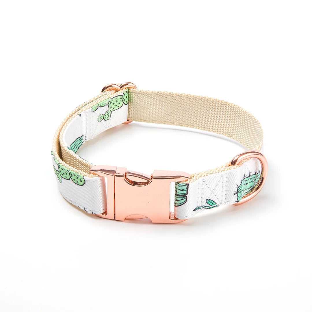 Free Design Eco-friendly Soft Polyester Custom Printed Dog Collar Personalized Wholesale for Dog Walking Solid Pattern