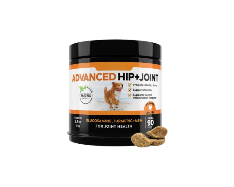 Wholesale Dog Healthy Joints Supplement With Glucosamine Turmeric MSM Chondroitin Sulfate Chews For Pet Inflammatory Relief