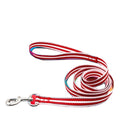 Small Nylon Pet Collar Leash Eco-Friendly Multicolor PVC Soft Comfortable Durable for Puppy Dog Hot Sales 3m XS 5m Sizes