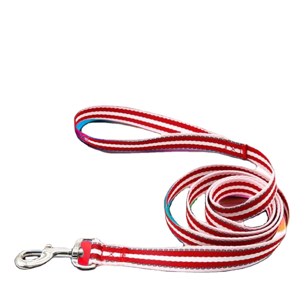 Small Nylon Pet Collar Leash Eco-Friendly Multicolor PVC Soft Comfortable Durable for Puppy Dog Hot Sales 3m XS 5m Sizes