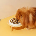 Eco-Friendly Ceramic Dog Dish Stylish Non-Slip Food Bowl Durable & Neat for Easy Mealtime Pet Bowls & Feeders