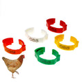 High Quality Birds Leg Finger Band Pigeon Training Tool Racing Bird Parrot Foot Ring Chicken Foot Ring Tags