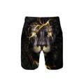 Manufacture Custom Mens 3D Printing Logo Elastic Waist 100% Polyester Quicky Dry Vocation Holiday Board Mens Beach Swim Shorts