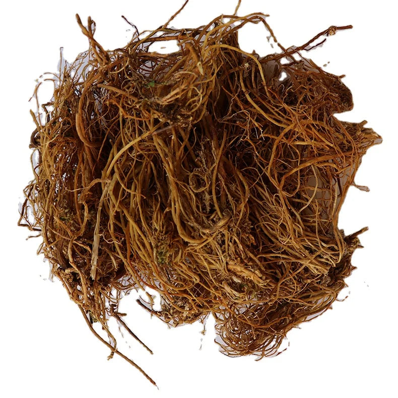 Long Dan Herb China Gentiana Rigescens Roots for Sale