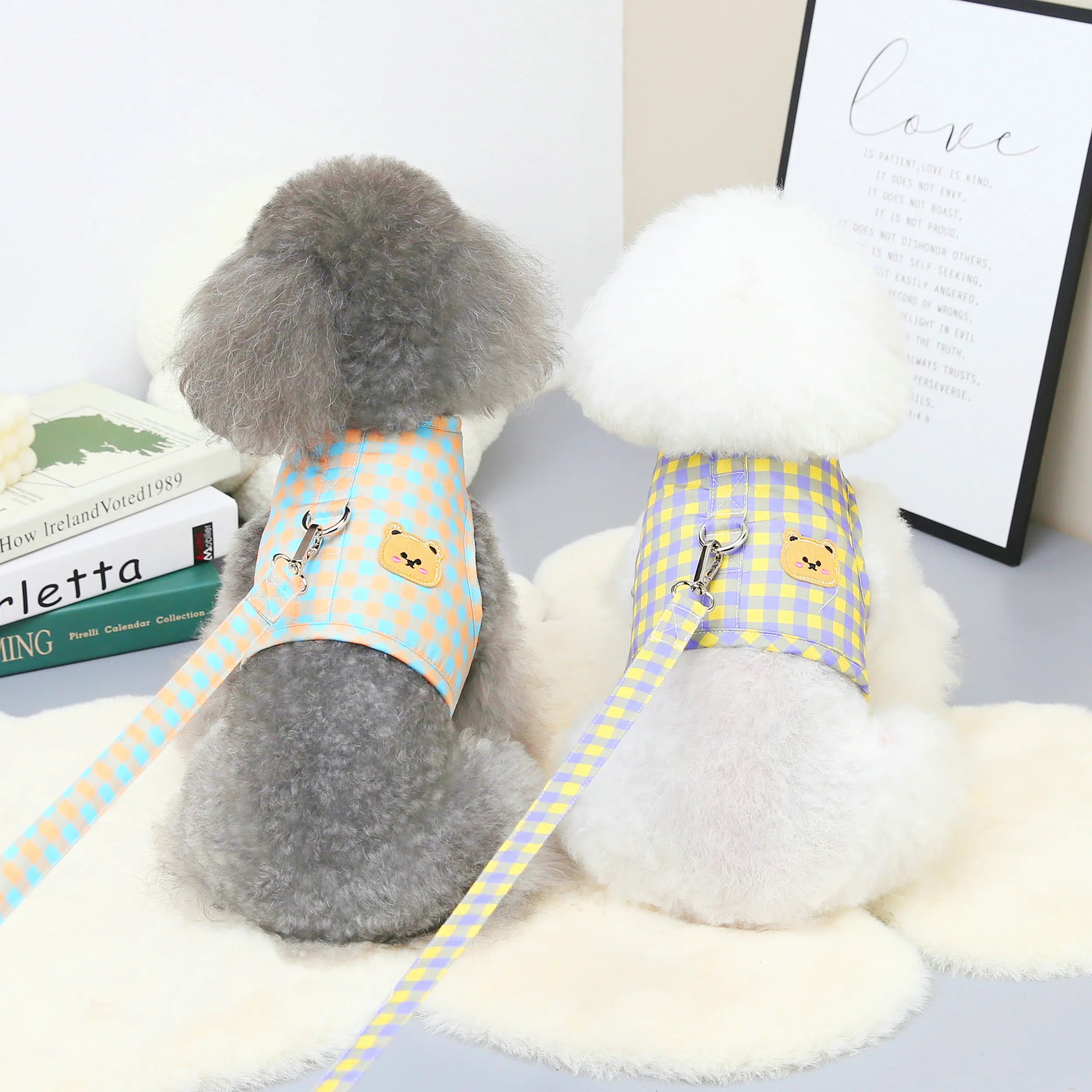 JXANRY Custom Cotton Dog Harness Vest Fashionable Cute Plaid Bear Design with Letter Pattern and Leash