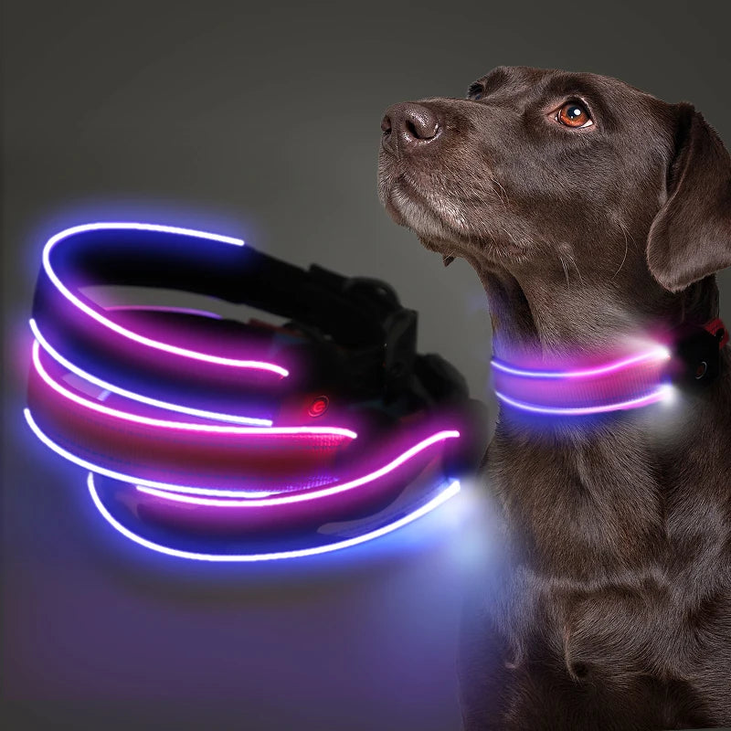 2025 USB Rechargeable LED Dog Collar Custom Design Waterproof Night Safety Flashing Glow Dark Light Animal Pattern Ribbon