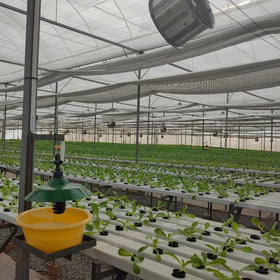 Nft Hydroponics PVC Channel for Hydroponic Growing System 100*50mm