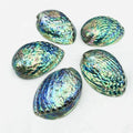 Factory Price Sales Clean and High Polished Natural Abalone Shell Paua Seashell