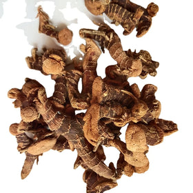 Gao Liang Jiang Lesser Galangal Rhizome for Spice and Herb