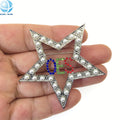 Greek Sorority the Order of Eastern Star OES Brooch Custom Vote Lapel Pin Jewelry Enamel Brooch
