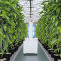 20LTank Auto Drain Dry Protection Â±3% Humidity Control 5Î¼m Mist Mushroom Industrial Plant Ultrasonic Humidifier