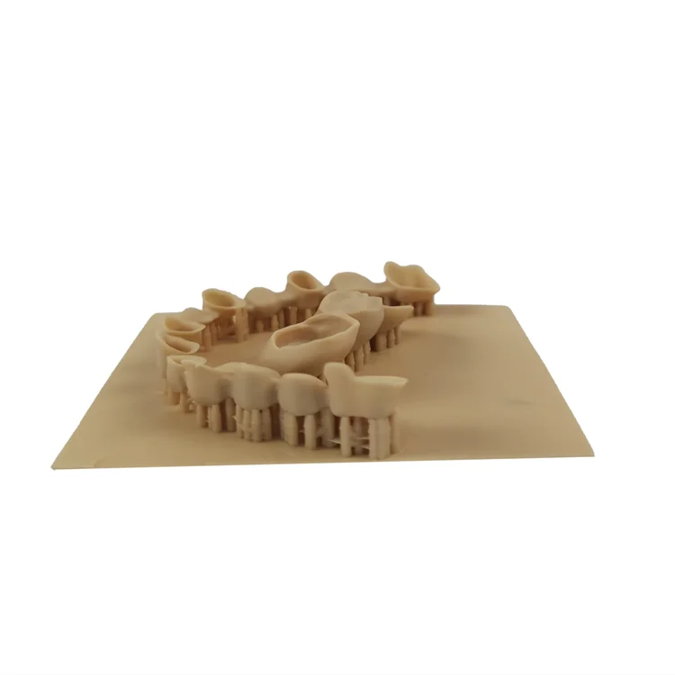 Professional High Precision DLP/SLS/SLM/SLA/FDM Custom Nylon Resin Peek Metal Dental  3D Printing Service
