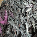 Stamped Steel Leaves for Balcony Railing Parts for Staircase Railing Handrail Balustrade Balcony Gate Fence Parts