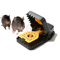 HSK 12 Pack UPGRADED Solid State Durable Plastic Snap Trap Hot Sell Indoor Garden Green House Mouse & Rat Killer