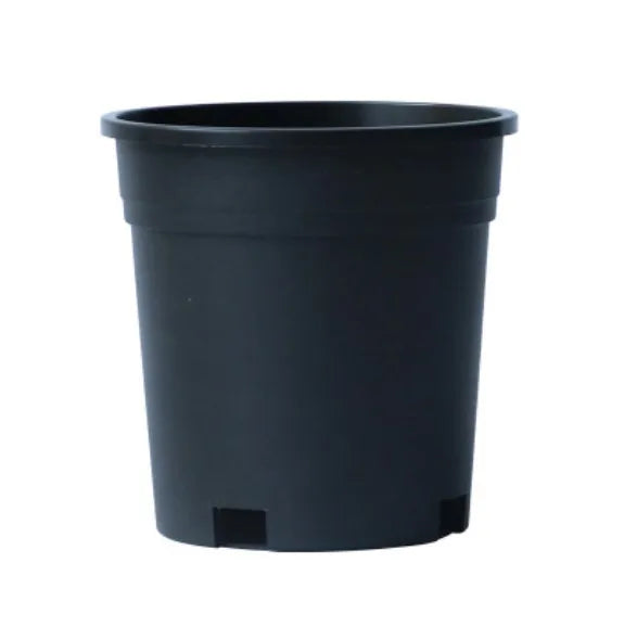 0.5 Gallon Plastic Black Pot Simple Design Factory Directly Garden Flower Pot