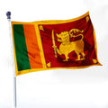 Custom 90*150cm Sri Lanka Flag Polyester Holiday Advertising Flag for Outdoor Usage