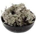 Yin Chen Hao Bulk Dry Artemisia Capillaris Wormwood Leaf Herb Loose Fresh Chinese Herbs for Health Tea Sachets Box