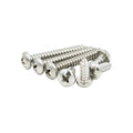 Stainless Steel SS304 Metric Cross Recessed Pan Head Round Head Self Tapping Screws