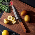 Japanese Professional Kitchen Knives Handmade Forged Kitchen Knife Kitchen Utility Knives with Wooden Handle