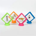 Custom Multicolor Floating Suspended Holder Case for Rose Ring Jewelry Boxes Logo Printed Pouch Display Box Packaging Carton