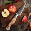 HEZHEN Kitchen Damascus Steel Fruit Paring Knife With Figured Sycamore Wood Handle