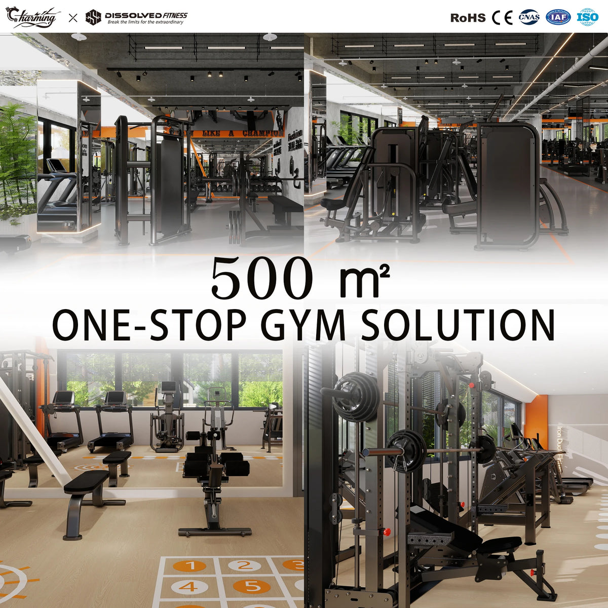 Gym Equipment Factory Wholesale High Quality Strength Training Machines Muscle Exercise Commercial Fitness Center CE Certified MegaBDM