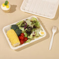 Cornstarch Food Container Disposable Cornstarch Compostable Tray Square Cornstarch Fast Food Packing Food Plate Party Tray