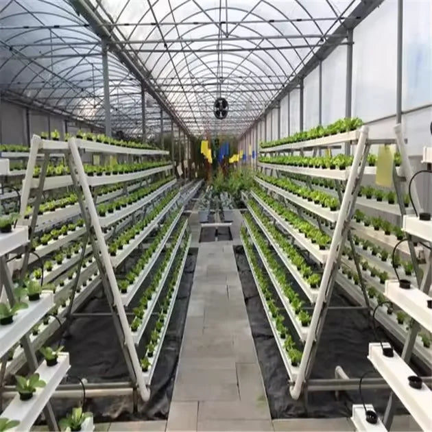 Skyplant Large NFT Hydroponic Growing System Complete Indoor Greenhouse for Lettuce Optimal for Indoor Plant Cultivation