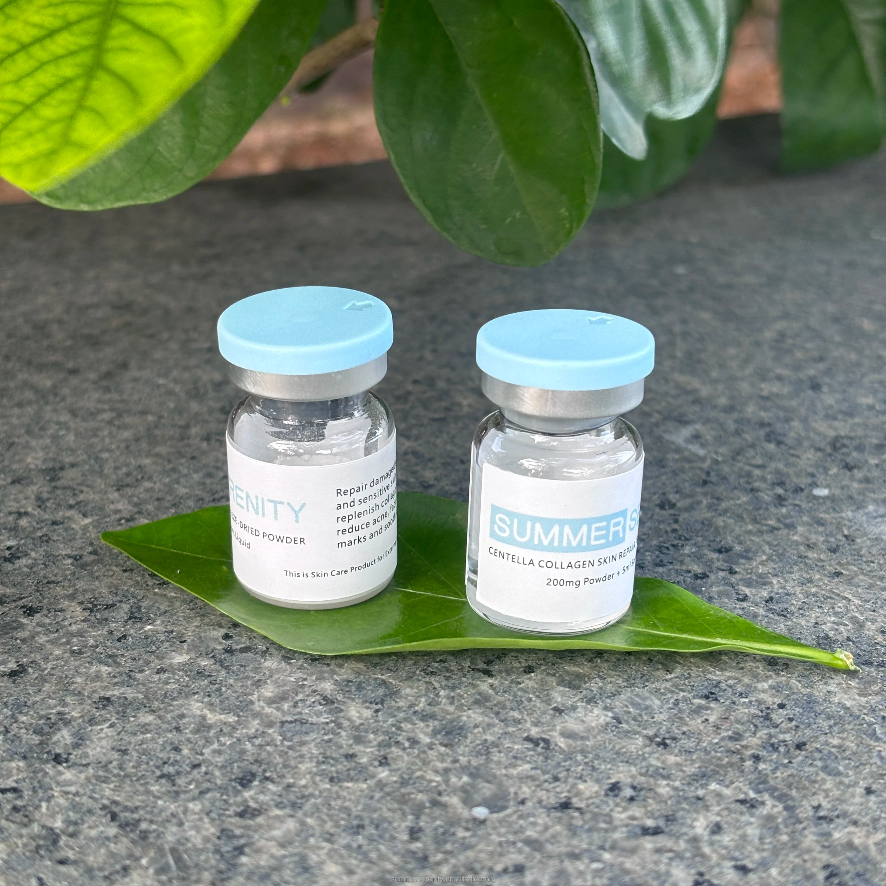 Freeze Dried Powder Face Care Serum 5ml Skin Repair Essence Anti Aging Skincare Collagen Peptides Lyophilized Powder Serum