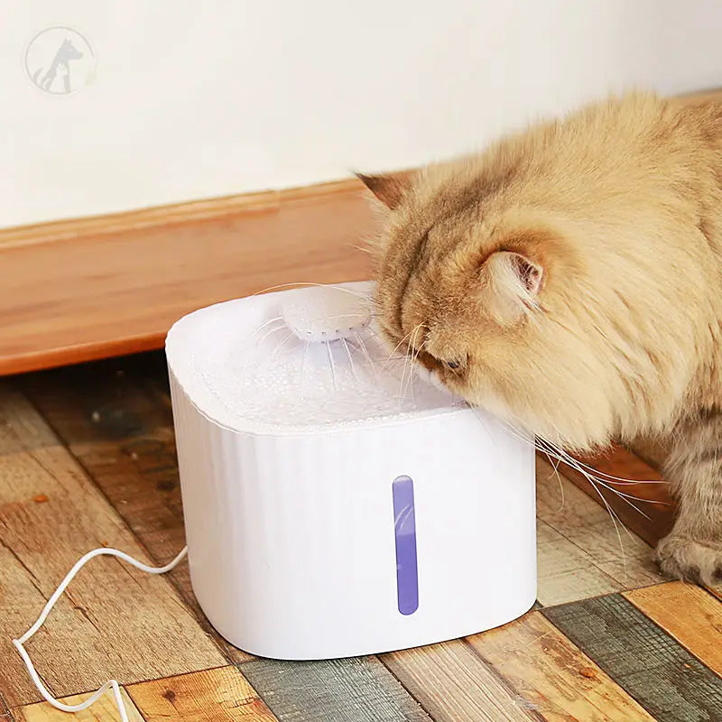 Wholesale Automatic Smart Pet Water Dispenser Drinking Fountain Led Cat Water Fountain for Cat Dog Drinking Feeder